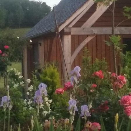 Bed and Breakfast Le Mazet D'Olt Altillac Esterno foto