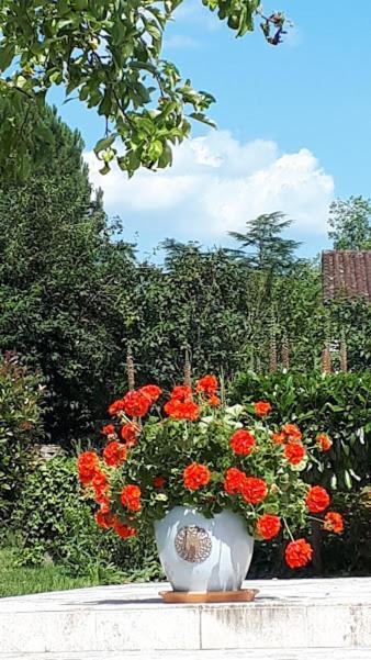 Bed and Breakfast Le Mazet D'Olt Altillac Esterno foto