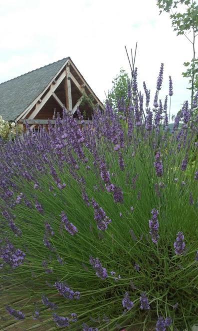 Bed and Breakfast Le Mazet D'Olt Altillac Esterno foto